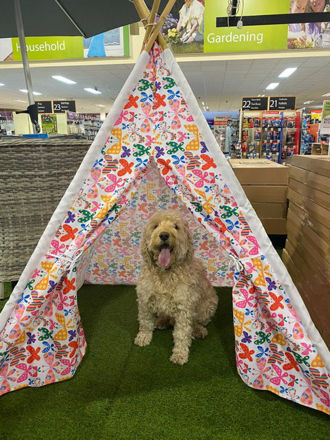 Butterfly Teepee Tent