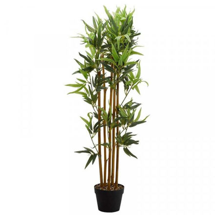 Bamboo Plant - 120cm