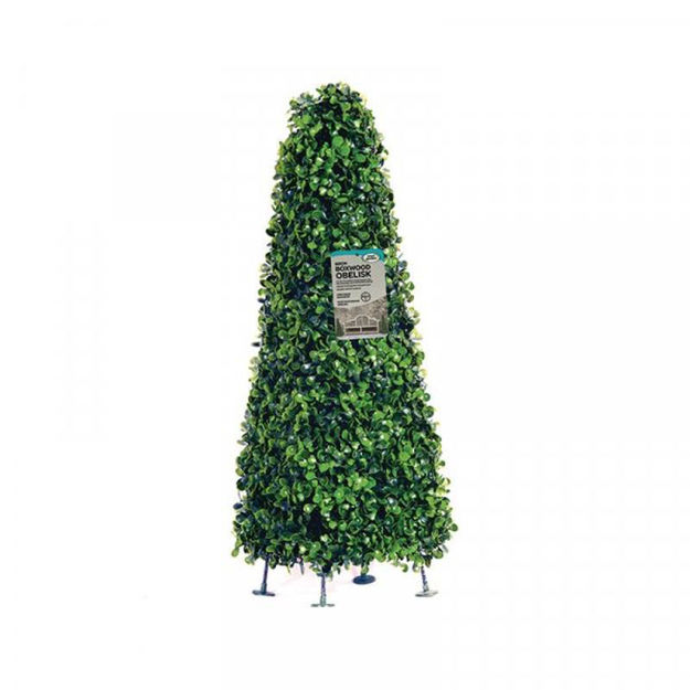 Boxwood Topiary Obelisk - 60cm