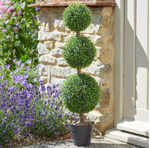 Topiary Tree Trio - 80cm