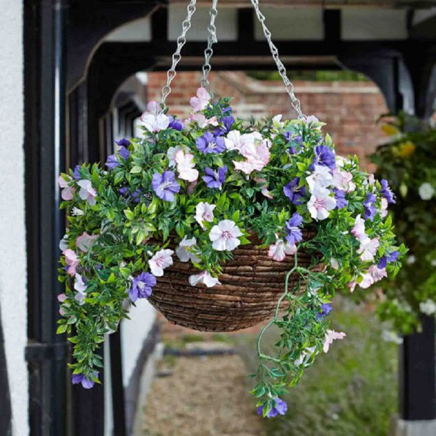 Petunia Hanging Basket