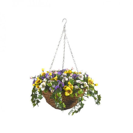 Pansy Hanging Basket