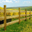 Picture of 3.6M WOODFORD MOULDED RAIL 150X44