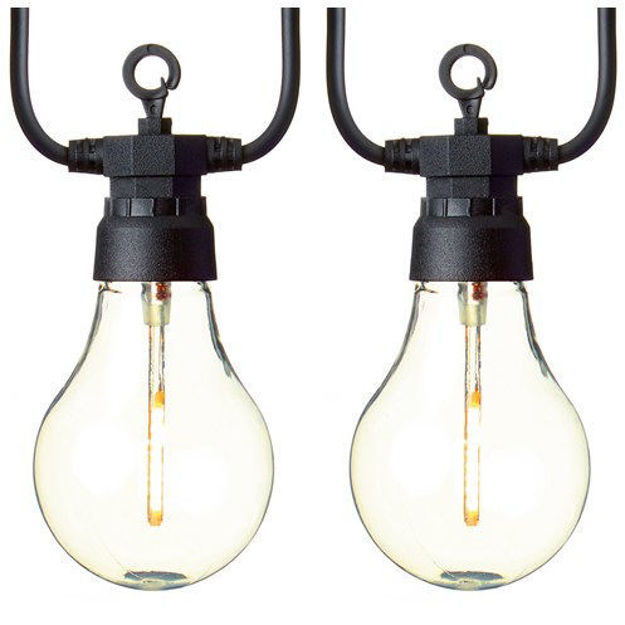 Picture of Festoon Lights - Set of 10