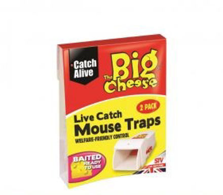 Picture of BIG CHEESE LIVE CATCH MOUSE TRAP STV155