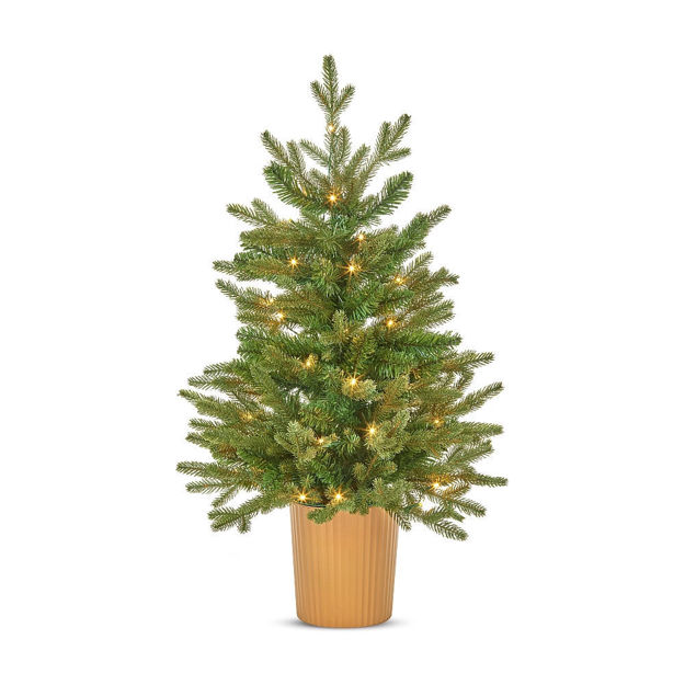 Picture of 3FT ELDON PRE LIT POTTED CHRISTMAS TREE